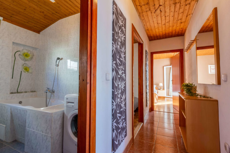 Entrance and the hallway